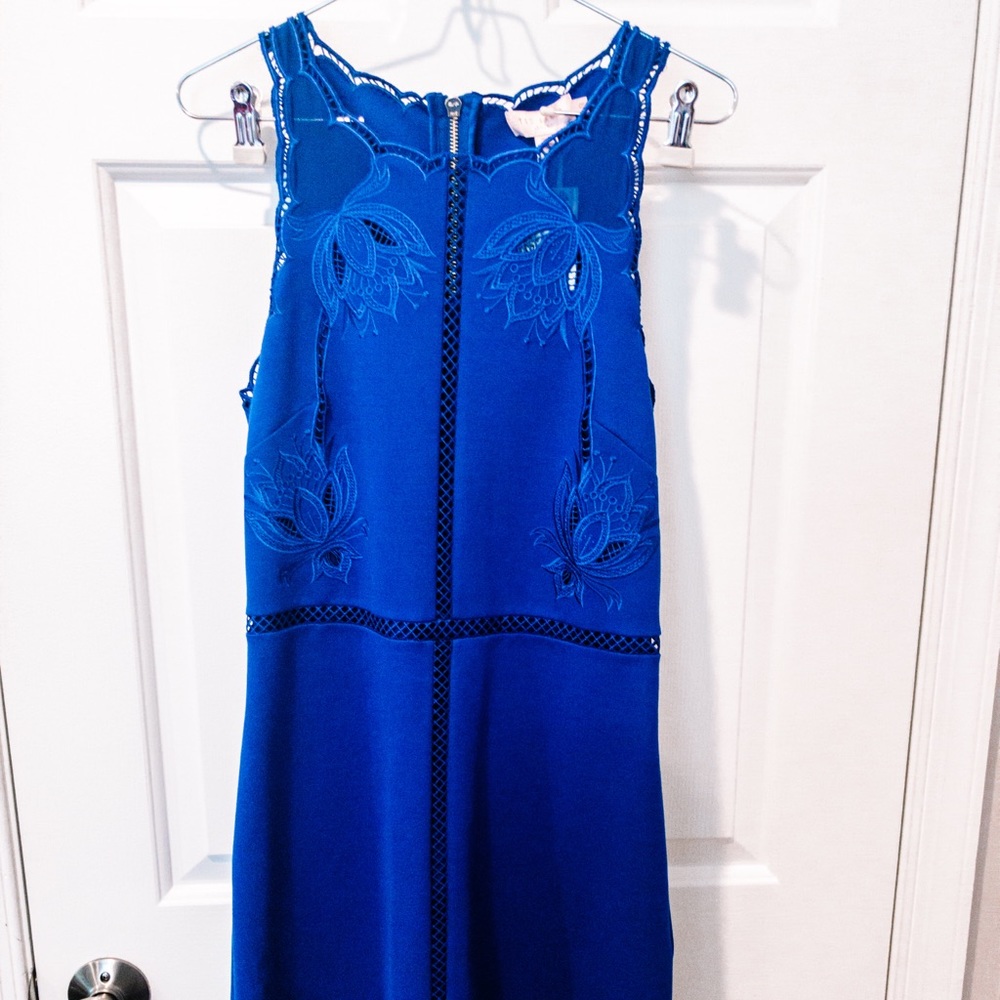 NWT! TED BAKER beautiful dress!